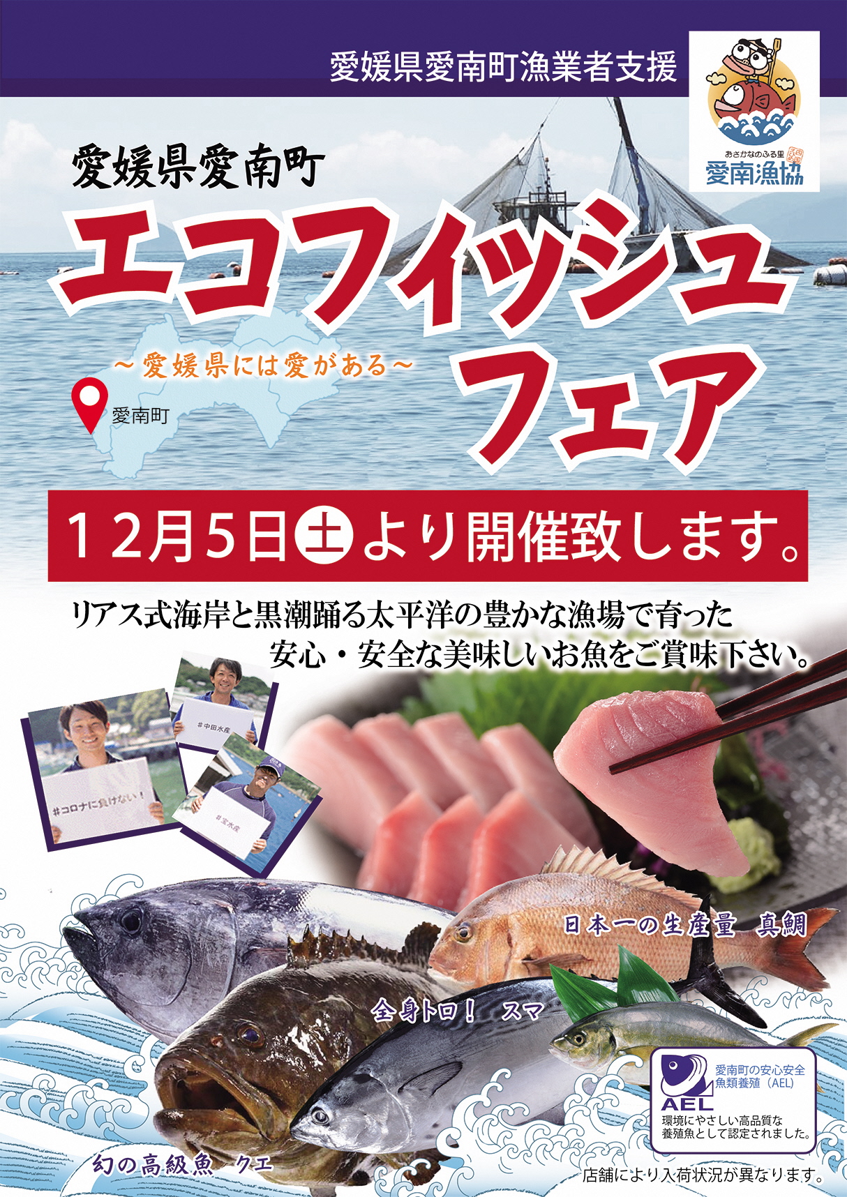 愛媛県愛南町エコフィッシュフェア を吉川水産33店舗で開催 関東南高同窓会